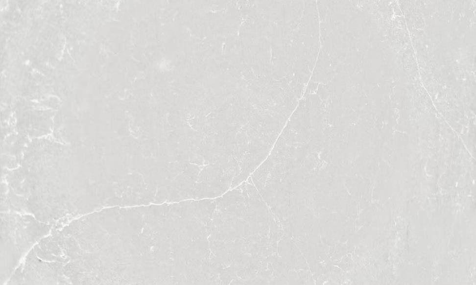 Desert Silver